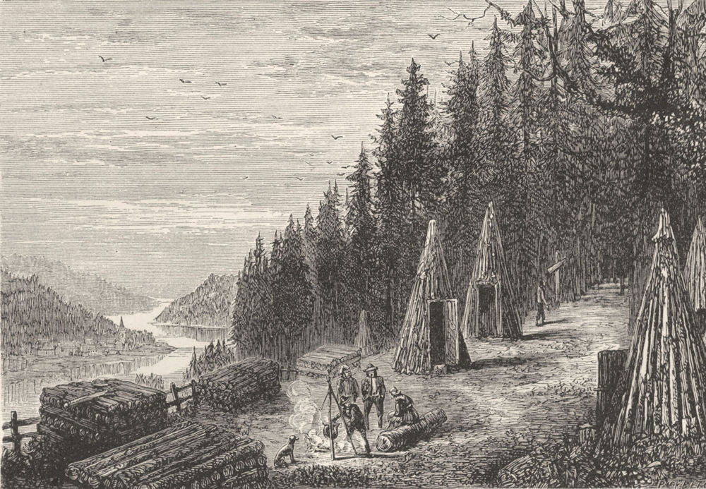 ARDENNES. France. Woodcutters Camp in the Ardennes c1878 old antique print